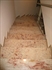 Εικόνα της Shivakashi ή Ivory Brown